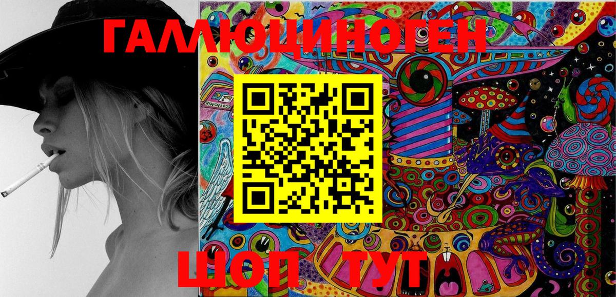 Галлюциногенные грибы Psilocybe Северобайкальск