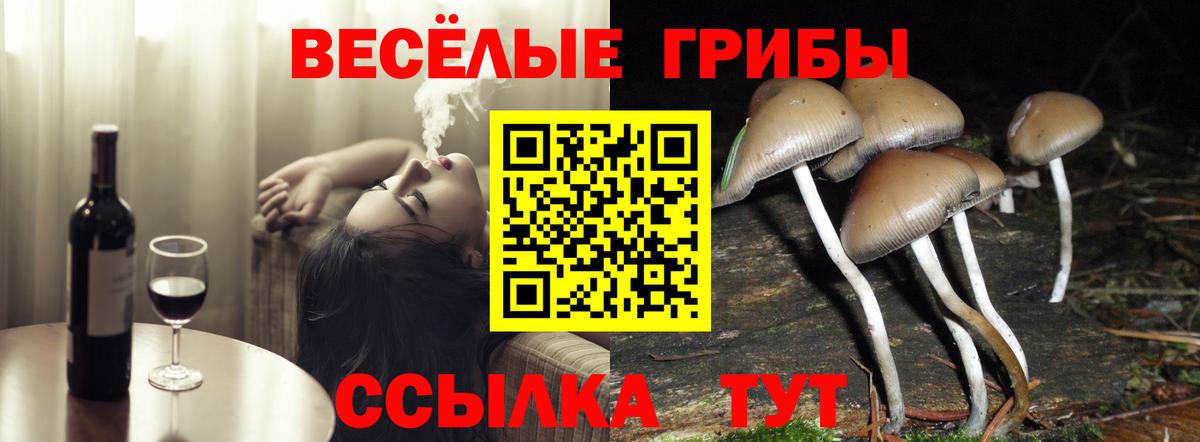 Галлюциногенные грибы Magic Shrooms  Вход с VPN  Северобайкальск  Галлюциногенные грибы мицелий 